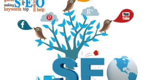 SEO trên mạng xã hội hiệu quả nhất cho web