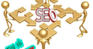 Hướng dẫn cách trao đổi link hiệu quả